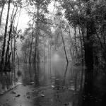 A lot of rain &copy; Patrick Feller